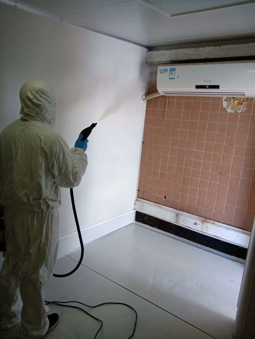 圖 楊家坪清潔服務公司 各種類型清潔小時專業(yè)服務 重慶家政