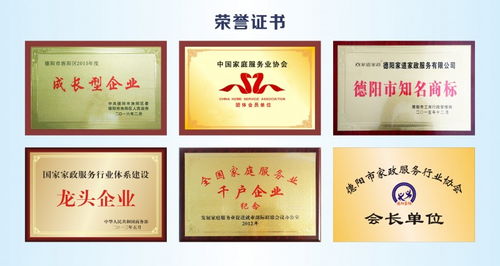 家道家政公布2024年度 智慧互聯(lián) 引擎計劃