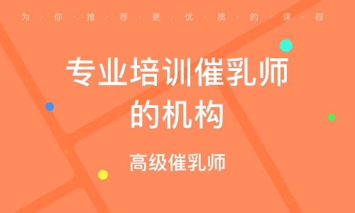 成都家政服務(wù)師 保姆 培訓