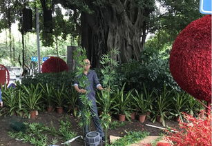 福州市園林局與監督站協同發力，以優質綠化獻禮十九大